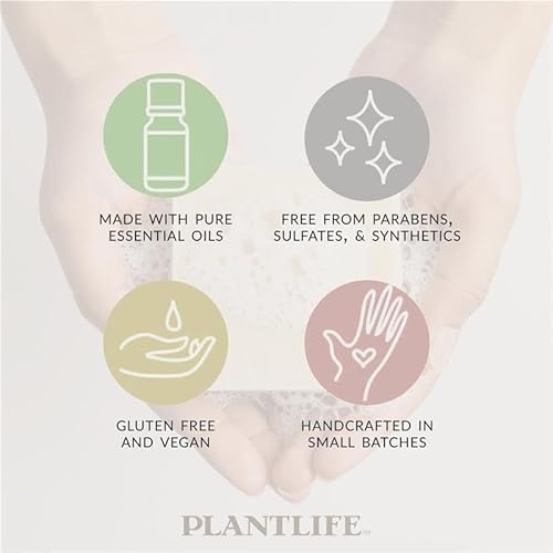 Plantlife Lemongrass Bar Soap - Moisturizing and Soothing Soap for Your Skin - Hand Crafted Using Plant-Based Ingredients - Made in California 4oz Bar