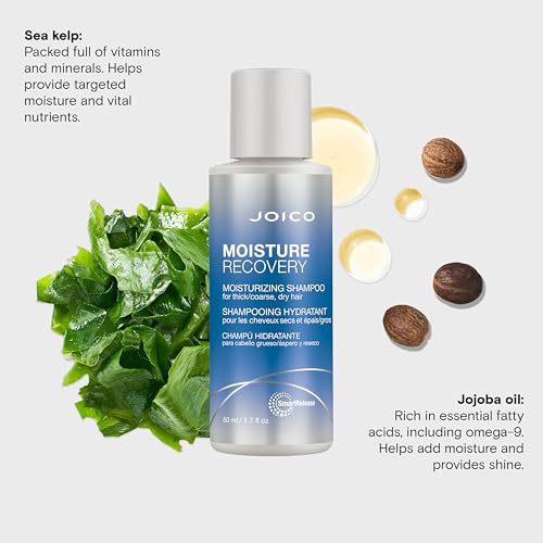 Joico Moisture Recovery Moisturizing Shampoo | For Thick, Coarse, Dry Hair | Replenish Moisture | Restore Smoothness & Elasticity | Reduce Breakage | Increase Strength | With Jojoba Oil & Shea Butter