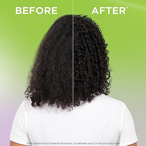 Garnier Fructis Style Curl Sculpt Conditioning Cream Gel for Bounce & Moisture,5.1 Fl Oz,(Packaging May Vary),(Pack of 2)