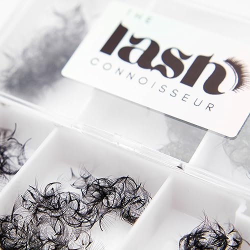 6D - CC Curl 750 Fans Mixed Promade Fans Lash Extensions | TLC Lash Supplies 4D to 16D Premade Fans 7 mm to 16 mm Mixed Length Thin Base Premade Fans Eyelash Extensions (6D - CC Curl, 13-14-15 mm)
