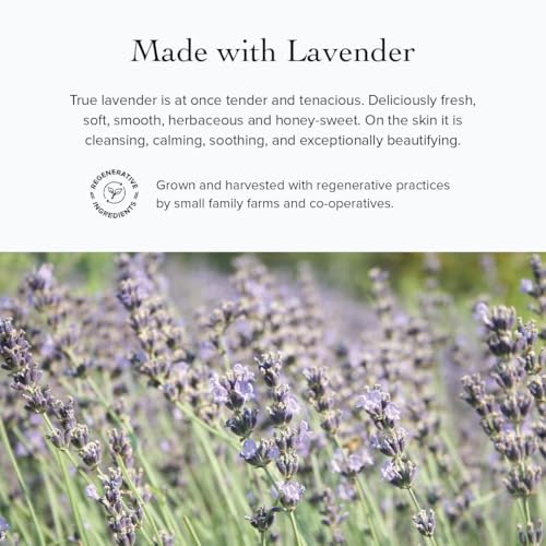 evanhealy Blue Chamomile Moisturizer | Calming Facial Cream with Carrot Seed & Argan Oil | Creamy Moisturizer For Sensitive & Reactive Skin