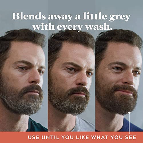 Just for Men Control GX Grey Reducing Beard Wash with Keratin, 4 Fl Oz (Packaging May Vary) - 6 Pack