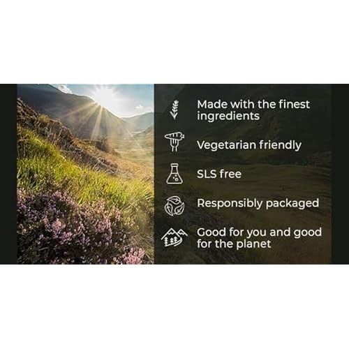 The Highland Soap Company Hand Care Gift Set, Organic Hand Wash & Lotion Set (Lemongrass & Ginger)