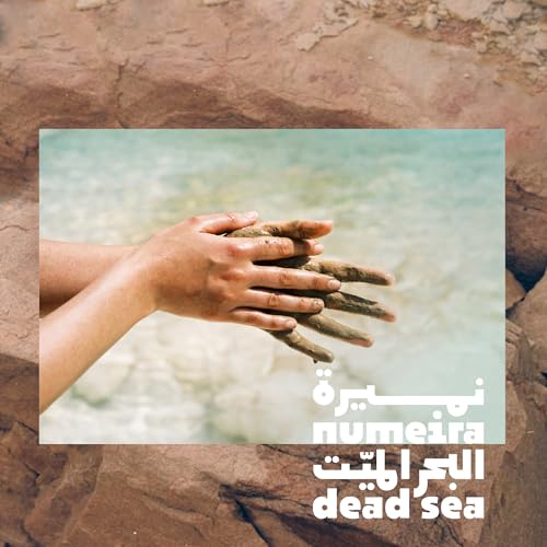 Dead Sea Mud Powder 100% Pure Cosmetic Clay Powder Rich in Minerals - Gentle Face Exfoliator Powder for Deep Cleansing, Body Scrub, or Clay Mud Mask - Pore Cleansing & Skin Detox - 250g