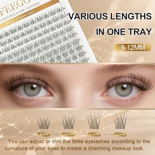 FEEGO Natural Lash Extension Kit 168Pcs Lash Clusters Kit Wispy Eyelash Extensions Individual Lashes Extensions with Bond and Seal Lash Glue and Eyelash Extension Tweezers DIY (9-12 MM)