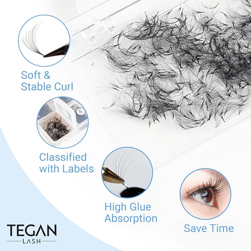 TEGAN LASH Promade Fan Mix Eyelash Extensions, From 3D - 16D, 0.03/0.05/0.07, C/CC/D, 9-15mm, Pre Made Eyelash, Easy Apply Premade False Eyelashes, Pesta?as Abanicos Extensiones (3D, 0,07, CC, Mix)