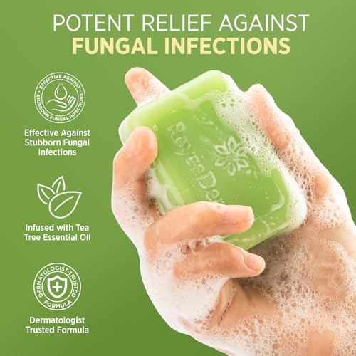 Roycederm Antifungal Bar Soap - Tea tree Oil Soap - Athlete¡¯s Foot Treatment for Jock Itch & Ringworm - Medicated Antifungal Soap with Clotrimazole 1% - Tea Tree Oil Scent, 3 Pack