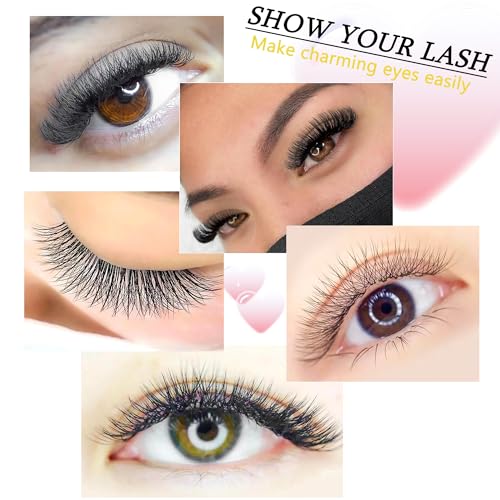 Lash Extensions 5D Eyelash Extensions W Lashes 0.07mm Thickness D Curl Lashes Mix 8-15mm Soft Lash Trays Volume Lash Extension Natural Matte black False Eyelashes Professional Use(W-5D-0.07-D,8-15mm)