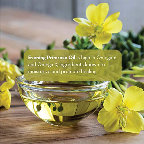 Pure Body Naturals Evening Primrose Oil - Liquid, not Capsules - for Face, Skin and Hair, 4 fl oz