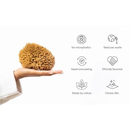 Naroa Soft Natural Sponge X Large | Gentle Sea Loofah for Bathing Smooth Skin | Unbleached Shower Body Scrubber Puff | Bath & Spa
