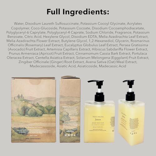 Junos Pufiry Hand Wash | Yuzu, Perilla Leaf, Eucalyptus | 9.46 Fl Oz | Product of Korea