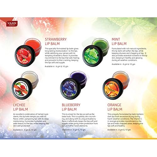 Lip Balm - ¡Ú Renewal Theraphy - ¡Ú Orange & Shea Butter Flavor - ¡Ú All Natural - ¡Ú Pack of 8 X 10 Gms(0.35 Ounces) in Tin - Vaadi Herbals