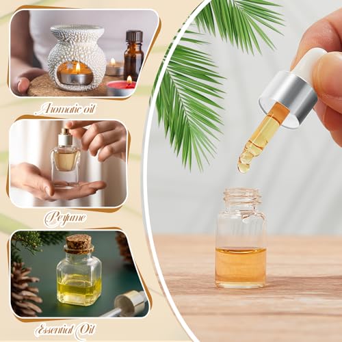 100 Pcs Mini Glass Oil Dropper Bottle Bulk, 3 ml Sliver Clear Essential Small Empty Bottles Sample Containers Perfume Liquid Vials with Cap for Traveling