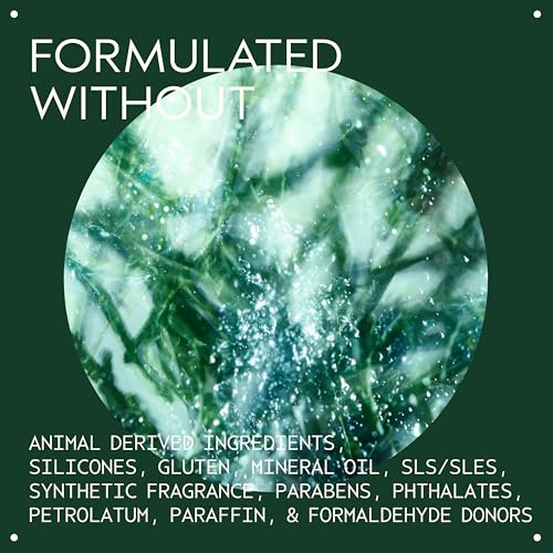 Aveda Botanical Kinetics Purifying Creme Cleanser | Daily Facial Cleanser for Normal to Dry Skin, 5 Fl Oz
