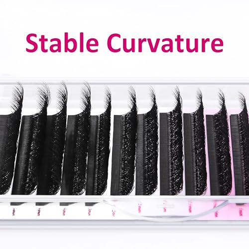 VEYES INC YY Lash Extensions Tray C/D curl 9-15mm Mixed Length Premade Volume Eyelash Fans, Professional Lash Extension Supplies, Matte Black(5D-W 0.07 D-curl 9-15mm)