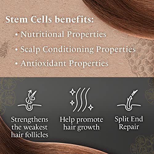 Tio Nacho Shampoo, Purifying with Royal Jelly, Infused with Botanical Stem Cells for Intense Hair and Scalp Purification + Detoxifying Balance, 14 Fluid Ounces (Pack of 2)