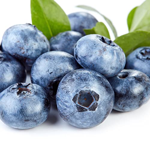 Earth To Skin Super Fruits Blueberry Exfoliating Cleanser (5.0 Fl Oz) (Pack of 2)