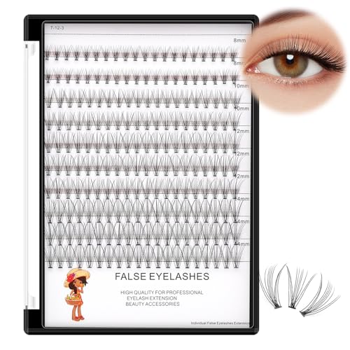 Bodermincer Large Box 200pcs 10D, 8-10-12-14mm Mixed Professional Makeup Individual Cluster Eye Lashes Grafting Fake False Eyelashes (8-10-12-14mm Mixed)