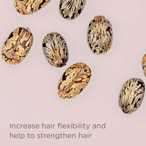 Hairitage Power Up Protein Treatment + Hair Mask with Shea Butter + Castor Oil for Dry Hair - Strengthen + Repair Dry + Damaged Hair - Hydrating Deep Conditioner, 8 Fl Oz