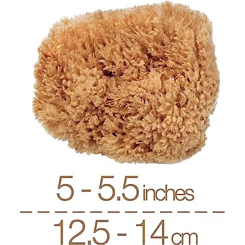 BodyCare Sea Sponge, 12.5-14cm, Premium Quality Exfoliating Sponge for The Most Sensitive and Delicate Skin. A Natural Unbleached Sponge, Sustainibly Harvested in Plastic-Free Packaging