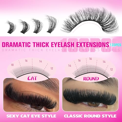 Lash Clusters with Spikes Kit with Bottom Eyelash Extensions Thick Volume Eyelash Clusters Kit Wispy Individual Lash Extensions Kit with Lash Bond and Seal (12mm-19mm, 312Pcs)