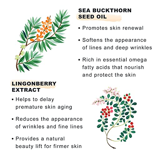 R&R Skincare Intense Shea Body Oil ? Fast-Absorbing & Lightweight ? Hydrating Body Oil for Dry Skin ? Shea Butter Oil for Skin & Massage ? Rich in Vitamin A, E & F for Nourished & Soft Skin