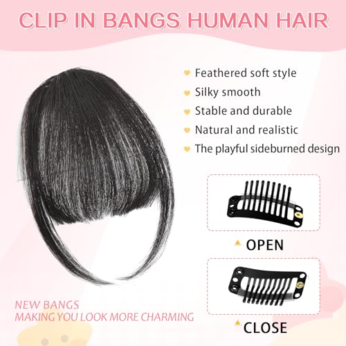 Clip in Bangs 100% Real Human Hair, Wispy Bangs Hair Clip, Fake Bang Fringe with Temples Hairpieces for Women Daily Wear (Natural Black, Wispy Bangs)