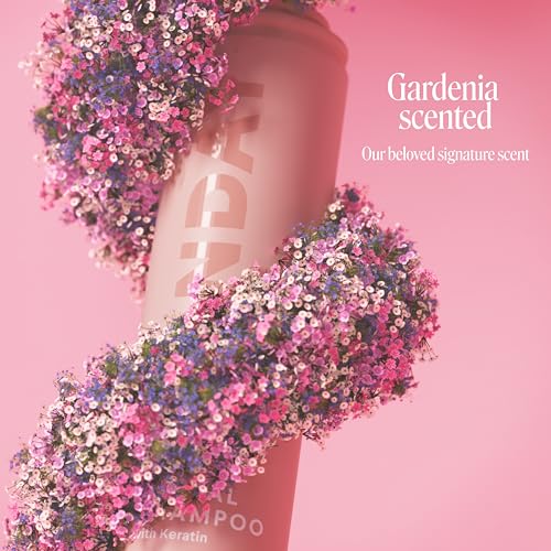 MONDAY HAIRCARE Dry Shampoo Volume 6.7oz, Volumizes and Freshens Hair, Absorbs Oil, Nourishes with Keratin, Protects Hair (Pack of 2)