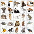 Jungle Animals Temporary Tattoos for Kids Party Supplies - 148 Individually Sheets Safari Animals Tattoos for Boys Girls Birthday Party Supplies