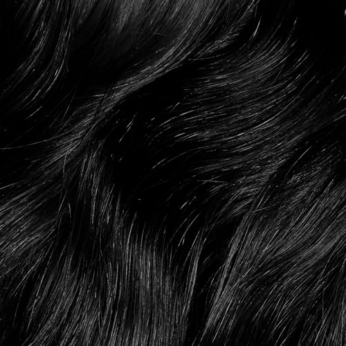 ion 1NN Darkest Intense Black Brilliant 12 Permanent Gloss Hair Color High Shine, AntiFade UV Protection, 100% Gray Coverage, PPD Free, 2.05 Oz