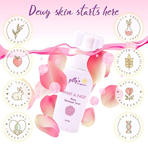 Made in USA ? Gilly¡¯s Organics Natural Rose Water Facial Toner Spray with Aloe Extract ? Hydrating & Calming Mist for All Skin Types ? 3 fl oz
