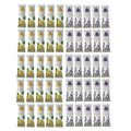 Asheva 8" x 9" Individually Wrapped Oshibori Disposable Towels - Luxurious Moist Cotton Hot/Cold Refreshment Towel - Lavender, Lemon, or Tea Tree Scents - Perfect for Spa, Travel, Dining & Events