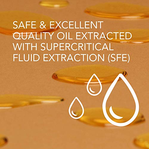 A24 Organic Gentle Cleansing Oil for Face | Waterproof Makeup Remover | Deep Cleansing | Non-Stripping | 99.75% Natural Ingredients | Vegan Formula