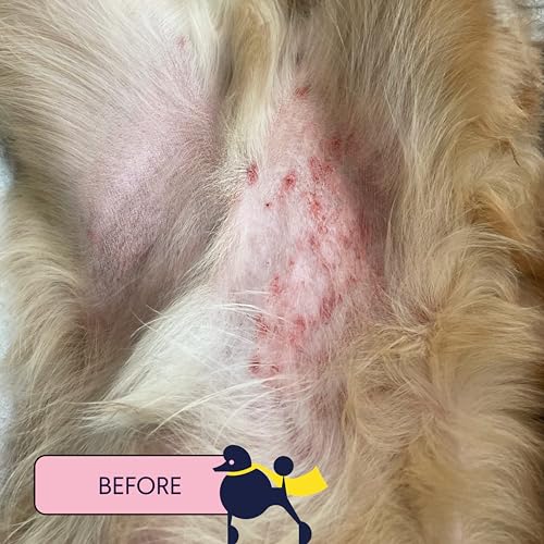 Finn Skin Hero | Revitalizing Natural Dog Skin Balm | Soothes, Strengthens & Protects from Hot Spots, Itching and Irritation - 1.75 oz