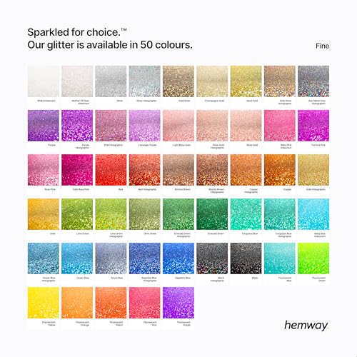 Hemway Premium Ultra Sparkle Glitter Multi Purpose Metallic Flake for Arts Crafts Nails Cosmetics Resin Festival Face Hair - Silver Holographic - Fine (1/64" 0.015" 0.4mm) 100g / 3.5oz