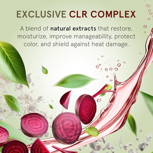 INOAR DayMoist Conditioner with Argan Oil Complex for Deep Conditioning & Repair, 16.9 Fl Oz