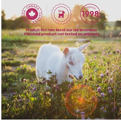 Caprina Fresh Goat¡¯s Milk Bar Soap,SHEA BUTTER (3-Pack), 3.2 oz (90 g) Each, Gentle Daily Cleanser, Softening & Biodegradable Formula, No Phosphates or Parabens
