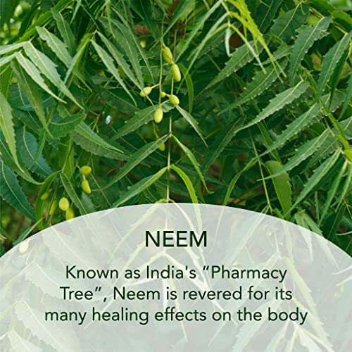 SUNDARI Neem and Triphala Body Oil - 3.4 Fl Oz, Nourishing Ayurvedic Formula, Deep Hydration, Skin Softening & Rejuvenation, All-Natural Ingredients