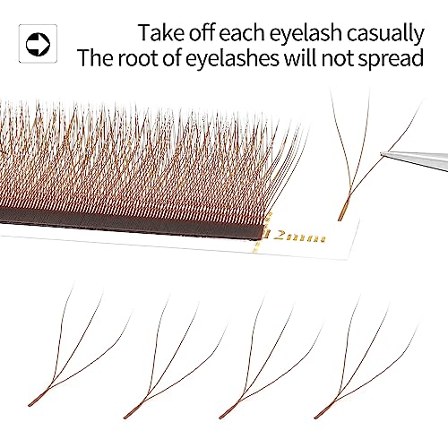 W Lash Extensions Supplies Brown 3D Eyelash Extensions 3 Tip W Shape 0.07mm Thickness C/D Curl Premade Fans Individual Lashes Matte Black Crisscross(W-Brown-3D-0.07-C,8-15mm Mix)