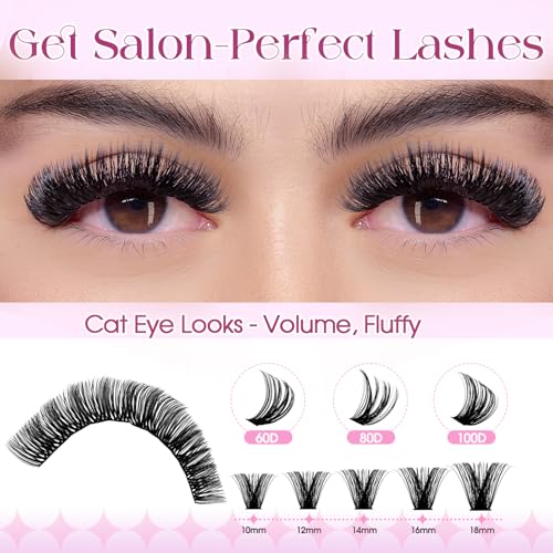 Wendy Lash Clusters Kit Packs: 980-Pcs, 60D, 80D, 80D, 100D, D Curl, 10-18mm Mixed, Cat Eye, Soft, Natural, Fluffy, DIY Eyelash, Individual, Eye lash clusters, Bulk Pack