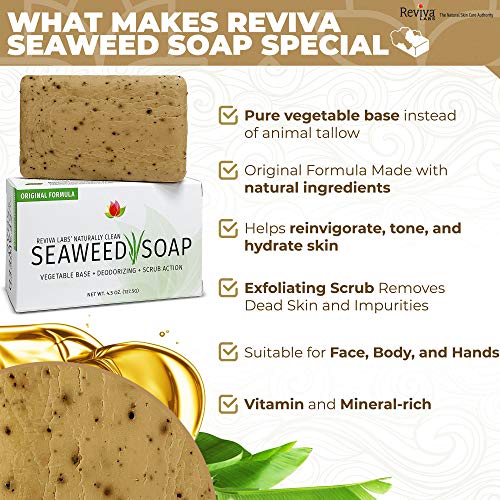 Reviva Seaweed Soap - 2 Pack - Organic Seaweed Face Scrub and Exfoliating Body Scrub Soap Bar - 4.5 oz. Vegetable Base Natural Bar Soap and Seaweed Bath Detox Soap Made in the USA