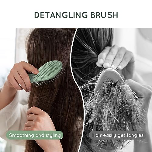 Detangler Hairbrush, Soft Bristle Detangling Brush for Straight, Wavy, Curly and Fine Hair, Dry and Wet, Quick Smoothing for Women and Men, Eco-Friendly & Sustainable Material (Green)