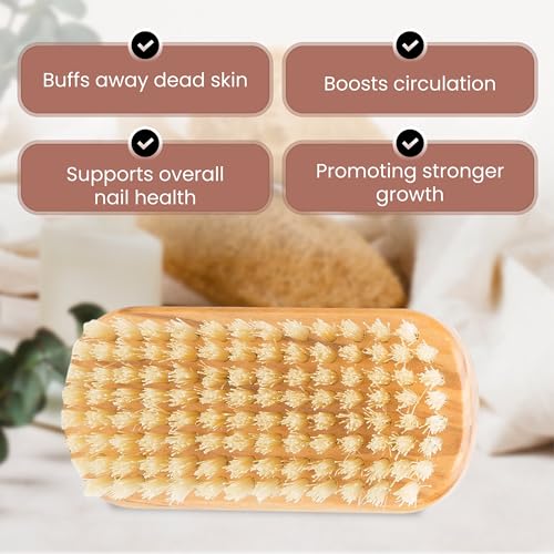 SHASH Made in Germany - 100% First Cut Boar Bristle Nail Brush - Gently Removes Dirt, Grime for Clean Hands - Exfoliates Skin for Soft, Smooth Texture, Wood (Olive)