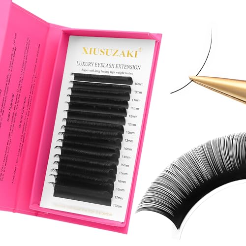Eyelash Extensions 0.07mm Thickness Volume Lash Extensions C Curl Lashes Mix 10-17mm Pesta?as Pelo a Pelo Matte Black Volume Lashes Soft Lash Trays Individual Lashes Professional Use(0.07-C,10-17mm)