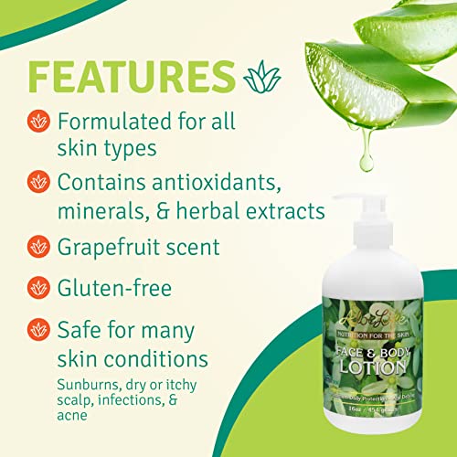 Aloe Life - Face & Body Lotion, Concentrated Formula, Hydrates Dry Skin, Contains Antioxidants, Minerals, & Herbal Extracts, Pleasant Grapefruit Scent, Safe For All Skin Types, Gluten-Free (16 oz)