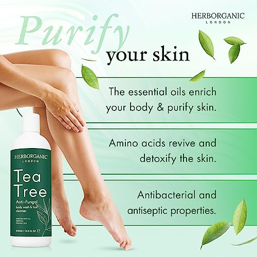 Tea Tree Body Wash - 400ml - Body Wash - Vegan, Odor and Foot Cleansing Shower Gel