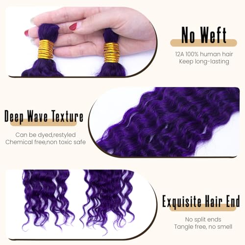KRN Purple Human Braiding Hair for Boho Braids 110g 12A Deep Curly Purple Braiding Hair Knotless Boho Braids 100% Virgin No Weft Extensions Human Hair 2Bundles/Pack Dark Purple Color 16Inch