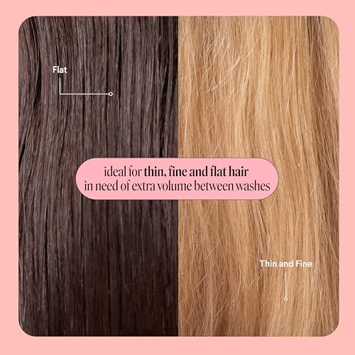 MONDAY HAIRCARE VOLUME Dry Shampoo with Collagen, oil-absorbing ideal for Thin & Fine Hair 50ML (3 Pack)