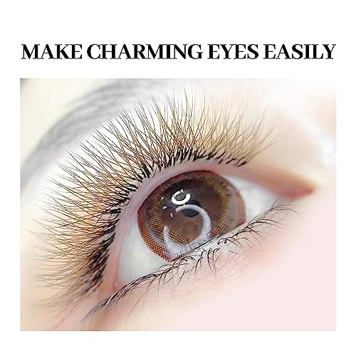 W Lash Extensions Supplies Brown 3D Eyelash Extensions 3 Tip W Shape 0.07mm Thickness C/D Curl Premade Fans Individual Lashes Matte Black Crisscross(W-Brown-3D-0.07-C,8-15mm Mix)