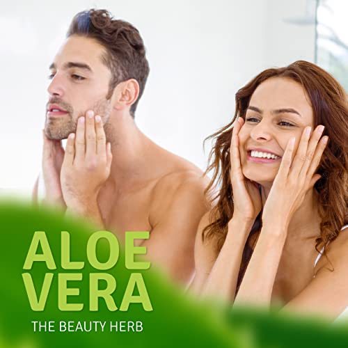 Aloe Life - Face & Body Lotion, Concentrated Formula, Hydrates Dry Skin, Contains Antioxidants, Minerals, & Herbal Extracts, Pleasant Grapefruit Scent, Safe For All Skin Types, Gluten-Free (16 oz)